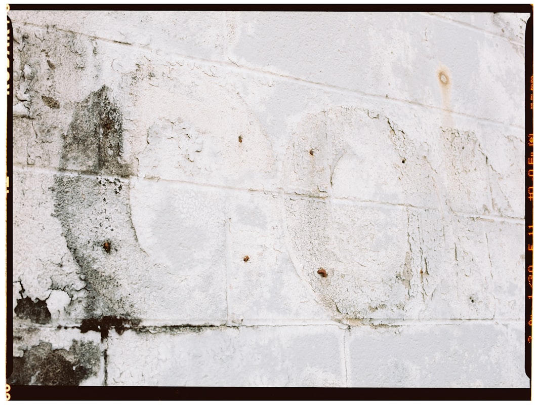 Flood Cleanup service in Kalamazoo, MI